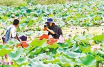 露营、采摘、选美、逛庙会……秋游重庆，一大波主题活动等你来 - 重庆晨网