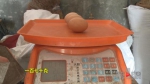 重庆“小巨蛋”一个顶三 蛋中竟还有蛋 - 重庆晨网