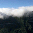 美哭！金佛山绝壁惊现云瀑美景 - 重庆晨网