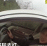 这位司机胆子大 高速路上停车打手机麻将 - 重庆晨网