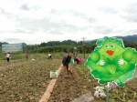 前8月农产品网销58亿 电商扶贫重庆有个大动作:再投1个亿 - 重庆新闻网