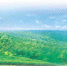 重庆日报：永川 蓝天白云入画中 绿水青山好生态 - 林业厅