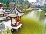 重庆日报：把重庆建成山清水秀美丽之地 - 林业厅