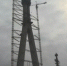 181米主墩塔柱矗立江边 万州长江三桥明年建成通车 - 重庆晨网