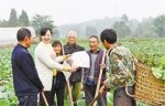 十九大代表王海燕宣讲：农民的日子将越来越好 - 重庆新闻网