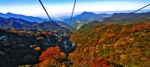 重庆的秋季，承包了所有色彩 - 重庆晨网