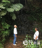 重庆珍档丨传说中的长江“侏罗纪公园”就在涪陵 - 重庆晨网