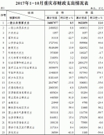 重庆市财政局发布前10月财政预算执行情况 - 财政厅