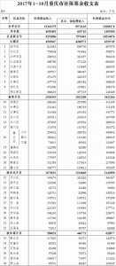 重庆市财政局发布前10月财政预算执行情况 - 财政厅