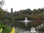 控制污染源加强治理 重庆园博园龙景湖和栋梁河水变清了 - 重庆晨网