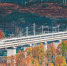 11月22日，参加模拟运行的55251次CRH3A型动车组列车通过秦岭南麓的洋县龙亭镇安山村高架桥。 新华社记者 吴晓初 摄 - 重庆新闻网