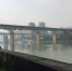 男子从牛角沱嘉陵江大桥跌落 自行游回岸边 - 重庆晨网