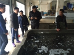 重庆市生态渔技术体系西南大学岗位专家团队到重庆最大淡水鱼批发市场开展调研和技术指导 - 农业厅