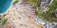 巫溪石漠化改造：“长”在人肩背上的陡崖森林 - 重庆新闻网