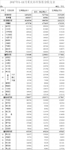 重庆市财政局发布前11月财政预算执行情况 - 财政厅
