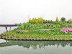 巴南花溪河入江口将建休闲公园 芦苇岸明年可见 - 重庆晨网