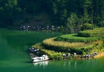城口巴山湖，惊艳了整个四季！如此美景，值得一看 - 重庆晨网