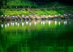 城口巴山湖，惊艳了整个四季！如此美景，值得一看 - 重庆晨网