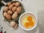 稀奇！这只母鸡接连产下三黄蛋，堪称母鸡中的“战斗机” - 重庆晨网
