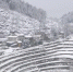 巫溪降雪两万多户断电 电力部门紧急抢修 - 重庆晨网
