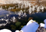 下了一场雪，红池坝美成了仙境 - 重庆晨网
