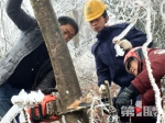 持续降雪致彭水大同镇全镇停电 正在抢修 - 重庆晨网