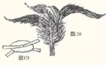 134 - 重庆晨网