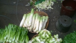 当重庆人的碗里有了豌豆尖儿、儿菜、红油菜……冬天才算冬天 - 重庆晨网