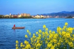 国家批了！重庆梁平双桂湖国家湿地公园通过验收 - 重庆晨网