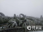 主城下雪了？今天凌晨在渝北，我们拍到雨夹雪照片 - 重庆晨网