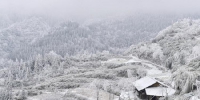 冬日美景：武隆车盘山穿上“雪衣” - 重庆晨网