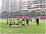 重庆获批“中国足协青少年训练中心” - 教育厅