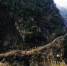 春运途中的“高山排险者”：每天攀爬绝壁，危岩区吃自带饼干 - 重庆晨网