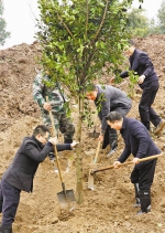 重庆日报：将棵棵新绿栽种在巴渝大地上 - 林业厅