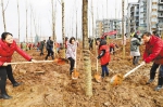 重庆日报：将棵棵新绿栽种在巴渝大地上 - 林业厅