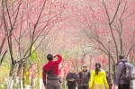 春意渐浓  最高温度将回到16℃左右 - 重庆新闻网