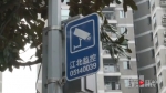 人行道上车来车往 江北一小区旁绿化带变停车场 - 重庆晨网
