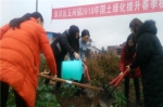 永川区妇女干部和巾帼志愿者们在植树.jpg - 妇联