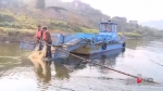 3月1日起长江流域禁渔，严厉打击各种非法捕捞行为 - 重庆晨网