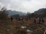秀山县积极开展全民义务植树活动 - 林业厅