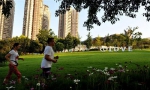 九龙坡区今年将全面建成15个公园游园，看看你家附近有没？ - 重庆晨网