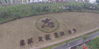 重庆首个志愿服务主题公园建成投用 法律问题可现场咨询 - 重庆晨网