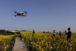 永川区：无人机“飞防”作业助推现代农业发展 - 农业机械化信息