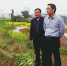 李应兰（右二）在合川区三庙镇宝龙村与群众亲切交谈 - 农业机械化信息