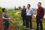 李应兰（右二）在合川区三庙镇宝龙村与群众亲切交谈 - 农业机械化信息