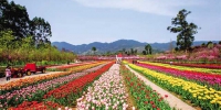 重庆市春季旅游明日正式启动 近200项春游主题活动出炉 - 人民政府