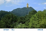 今年重庆将以南山为试点建设南山公园 - 重庆晨网