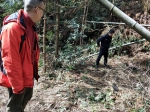 秀山县林业局查处一起滥伐林木案并督促补种树木 - 林业厅