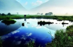 这里是重庆高山湿地草场，高山流水之间最纯粹的风景 - 重庆晨网