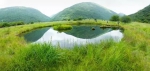 这里是重庆高山湿地草场，高山流水之间最纯粹的风景 - 重庆晨网
